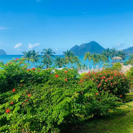 Diadora Au Magnifique Panorama - Studio Neuf De Prestige Vue Mer 勒迪亚芒 外观 照片